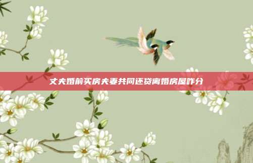 丈夫婚前買房夫妻共同還貸離婚房屋咋分
