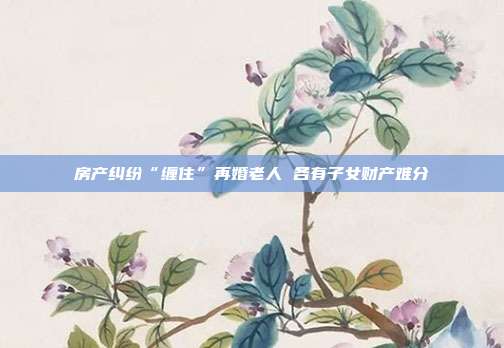 房產糾紛“纏住”再婚老人 各有子女財產難分