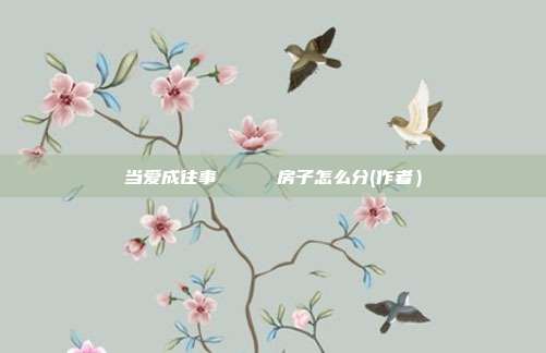 當(dāng)愛(ài)成往事 房子怎么分(作者)
