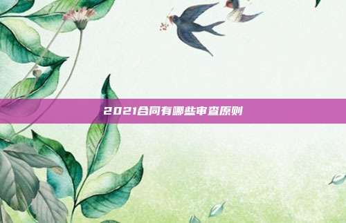 2021合同有哪些審查原則