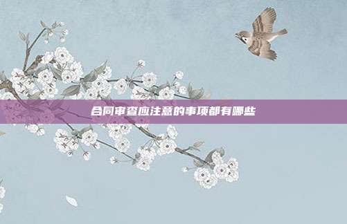 合同審查應(yīng)注意的事項都有哪些