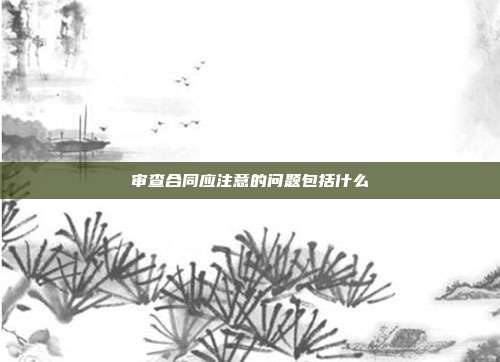 審查合同應注意的問題包括什么