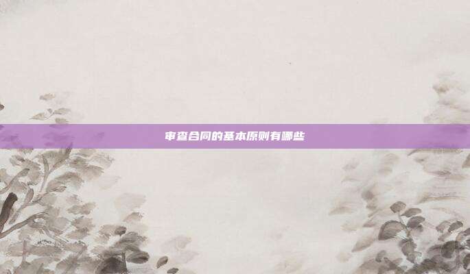 審查合同的基本原則有哪些
