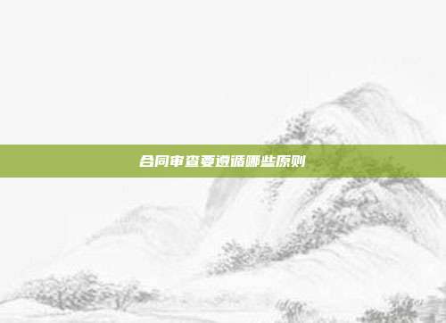 合同審查要遵循哪些原則