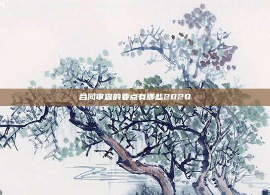 合同審查的要點有哪些2020