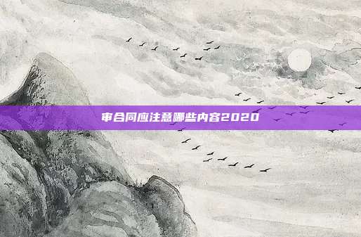 審合同應注意哪些內容2020