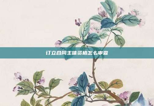 訂立合同主體資格怎么審查