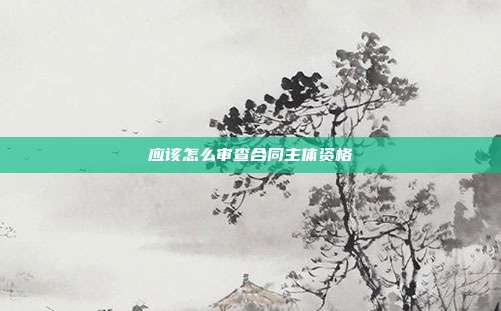 應(yīng)該怎么審查合同主體資格