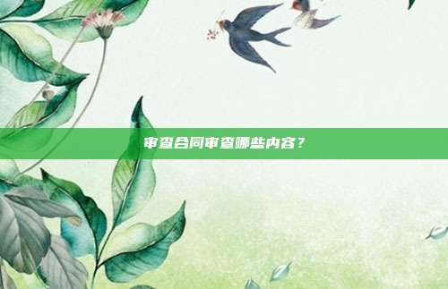 審查合同審查哪些內容？