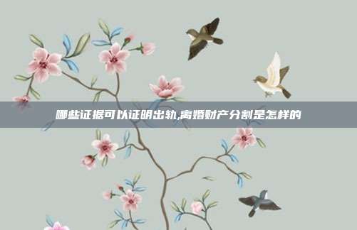 哪些證據(jù)可以證明出軌,離婚財(cái)產(chǎn)分割是怎樣的