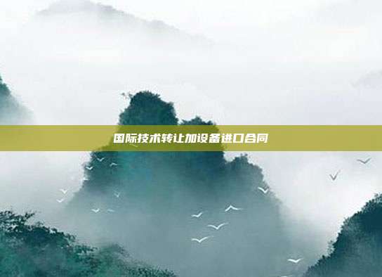 國際技術(shù)轉(zhuǎn)讓加設(shè)備進(jìn)口合同