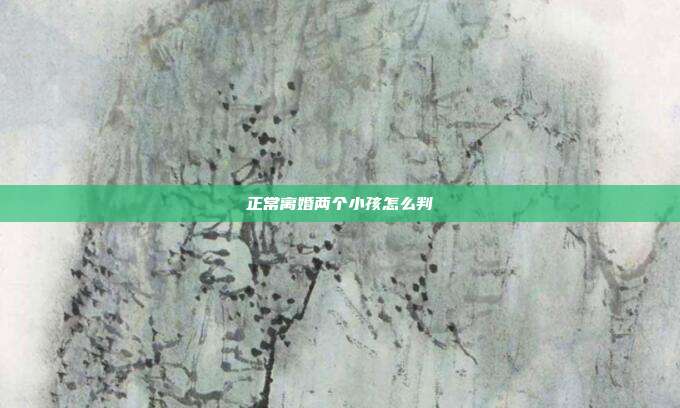 正常離婚兩個小孩怎么判
