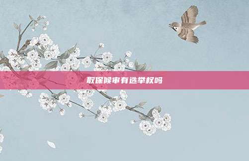 取保候審有選舉權嗎