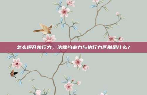 怎么提升執行力，法律約束力與執行力區別是什么？