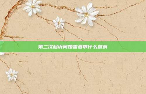 第二次起訴離婚需要帶什么材料
