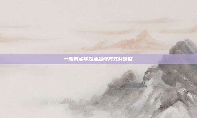一般機動車超速查詢方式有哪些