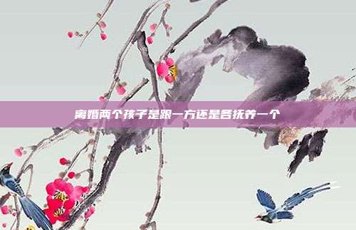 離婚兩個孩子是跟一方還是各撫養一個