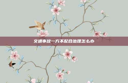 交通事故一方不配合處理怎么辦