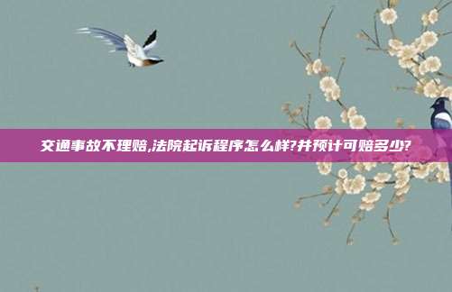 交通事故不理賠,法院起訴程序怎么樣?并預(yù)計可賠多少?