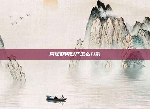 同居期間財(cái)產(chǎn)怎么分割