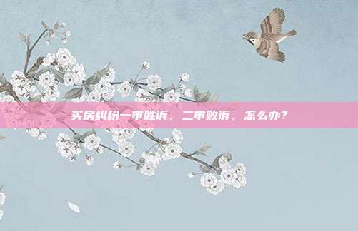 買房糾紛一審勝訴，二審敗訴，怎么辦？