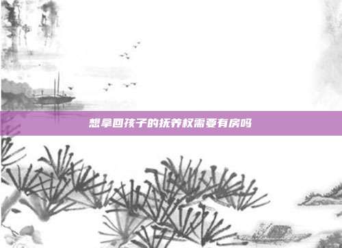 想拿回孩子的撫養(yǎng)權(quán)需要有房嗎