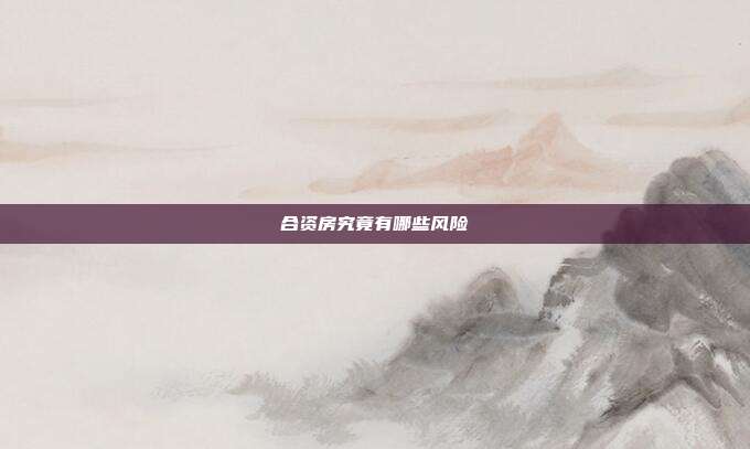 合資房究竟有哪些風險