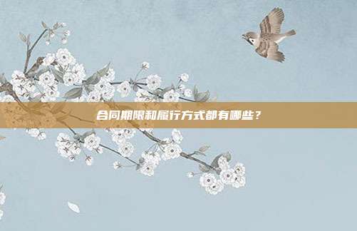 合同期限和履行方式都有哪些？