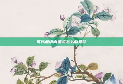可以起訴離婚嗎怎么的條件