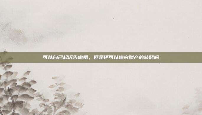 可以自己起訴告離婚,但是還可以追究財產的轉移嗎