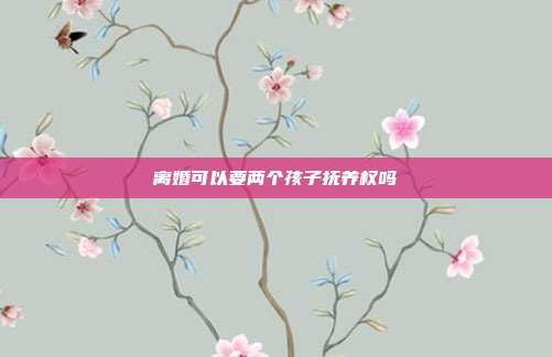 離婚可以要兩個孩子撫養(yǎng)權(quán)嗎