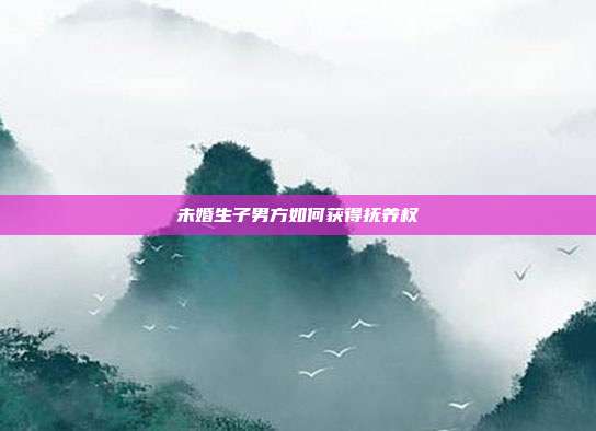 未婚生子男方如何獲得撫養權