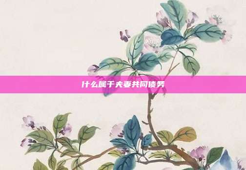 什么屬于夫妻共同債務