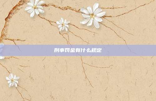 刑事罰金有什么規定