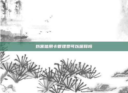 妨害信用卡管理罪可以保釋嗎