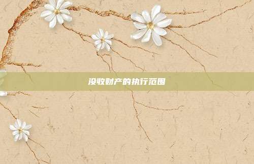 沒收財產的執行范圍