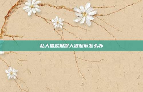 私人借款擔保人被起訴怎么辦