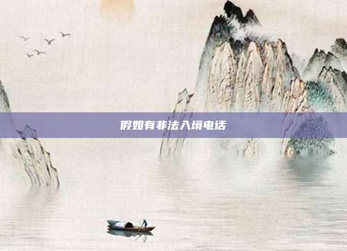 假如有非法入境電話