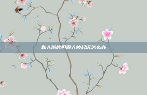 私人借款擔保人被起訴怎么辦