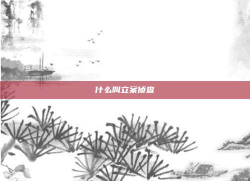 什么叫立案偵查