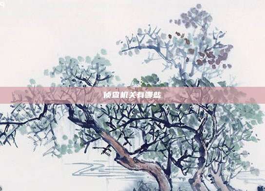 偵查機(jī)關(guān)有哪些