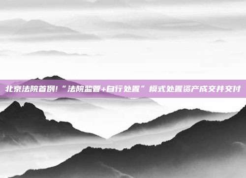 北京法院首例!“法院監(jiān)管+自行處置”模式處置資產(chǎn)成交并交付