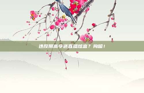 違反限高令還直播炫富?拘留!