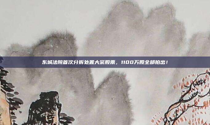 東城法院首次分拆處置大宗股票，1100萬股全部拍出！