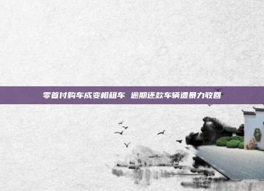 零首付購車成變相租車 逾期還款車輛遭暴力收回