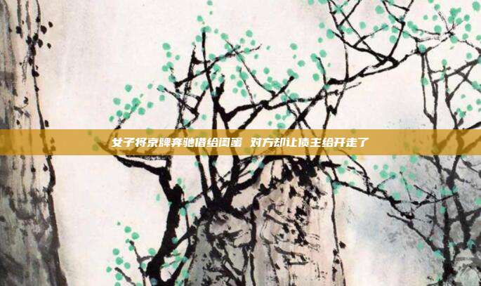 女子將京牌奔馳借給閨蜜 對(duì)方卻讓債主給開(kāi)走了
