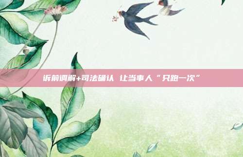 訴前調(diào)解+司法確認(rèn) 讓當(dāng)事人“只跑一次”