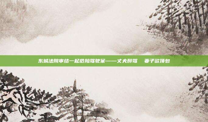 東城法院審結一起危險駕駛案——丈夫醉駕 妻子欲頂包
