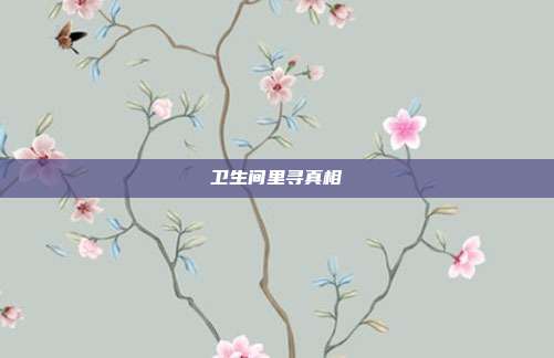 衛生間里尋真相