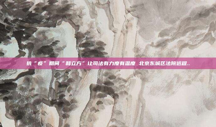 抗“疫”期間“和立方”讓司法有力度有溫度 北京東城區法院遠程..